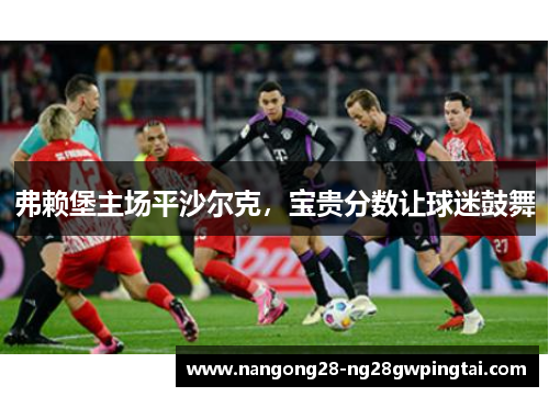 弗赖堡主场平沙尔克，宝贵分数让球迷鼓舞