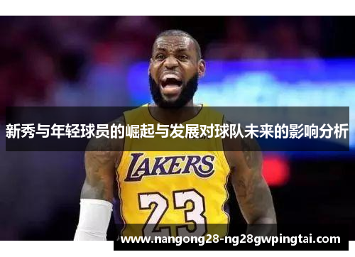 新秀与年轻球员的崛起与发展对球队未来的影响分析